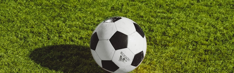 世界杯比赛精彩瞬间 - 球员庆祝进球画面